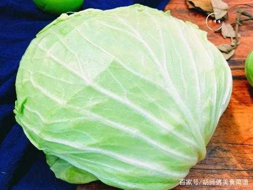 包菜是啥颜色,包菜在哪里卖比较好-第2张图片-厨房小当家 包菜是啥颜色,包菜在哪里卖比较好-第2张图片-厨房小当家