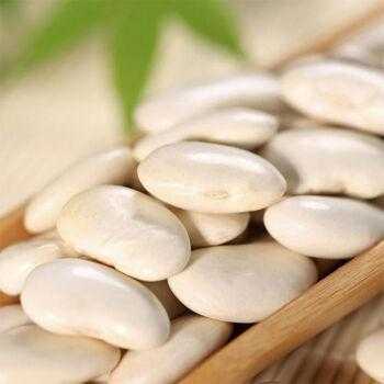 白豆产地哪里(白芸豆的产地介绍)-第2张图片-厨房小当家 白豆产地哪里(白芸豆的产地介绍)-第2张图片-厨房小当家