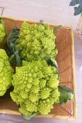 宝塔花椰菜好吃吗,宝塔花菜哪里的好-第2张图片-厨房小当家 宝塔花椰菜好吃吗,宝塔花菜哪里的好-第2张图片-厨房小当家