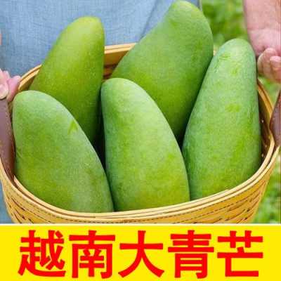 大青芒哪里好(大青芒哪里的好吃)-第1张图片-厨房小当家 大青芒哪里好(大青芒哪里的好吃)-第1张图片-厨房小当家