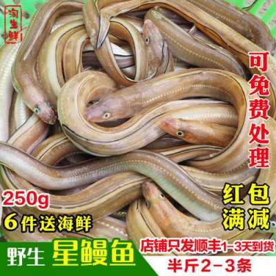 鳗鱼骨哪里卖(鳗鱼骨哪里卖的好)-第3张图片-厨房小当家 鳗鱼骨哪里卖(鳗鱼骨哪里卖的好)-第3张图片-厨房小当家