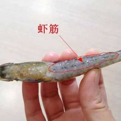 虾仁腹部在哪里(虾仁腹部的黑线是什么?)-第2张图片-厨房小当家 虾仁腹部在哪里(虾仁腹部的黑线是什么?)-第2张图片-厨房小当家