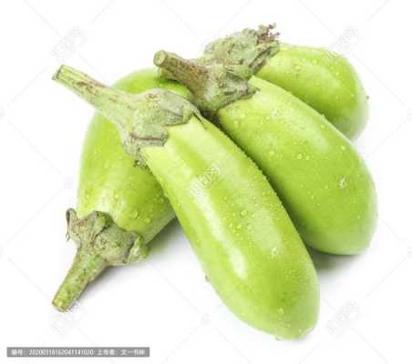 为什么青茄子很少见了,青茄子哪里有卖的-第3张图片-厨房小当家 为什么青茄子很少见了,青茄子哪里有卖的-第3张图片-厨房小当家
