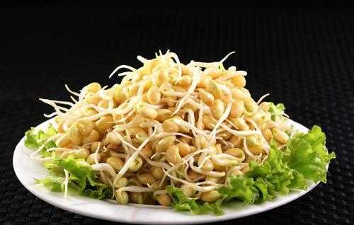 什么样的豆芽不能吃的,豆芽哪里不能吃生物-第2张图片-厨房小当家 什么样的豆芽不能吃的,豆芽哪里不能吃生物-第2张图片-厨房小当家