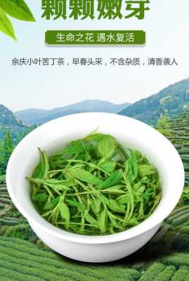 苦丁茶哪里的特产（苦丁茶哪里的特产最好）-第2张图片-厨房小当家