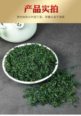苦丁茶哪里的特产（苦丁茶哪里的特产最好）-第3张图片-厨房小当家