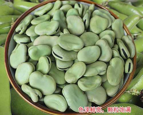 新鲜蚕豆如何邮寄,新鲜蚕豆哪里买-第1张图片-厨房小当家 新鲜蚕豆如何邮寄,新鲜蚕豆哪里买-第1张图片-厨房小当家
