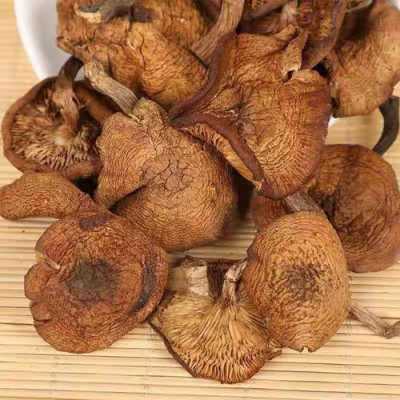 哪里榛蘑最好（猴头菇哪里产的好）-第1张图片-厨房小当家