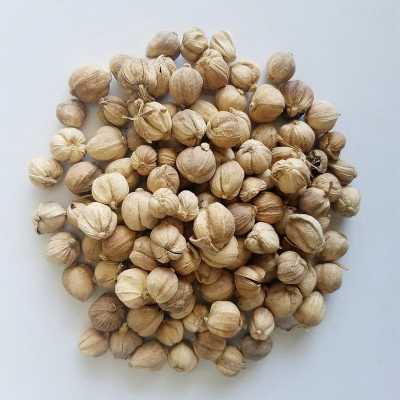 豆扣哪里最好(什么豆蔻好)-第1张图片-厨房小当家 豆扣哪里最好(什么豆蔻好)-第1张图片-厨房小当家