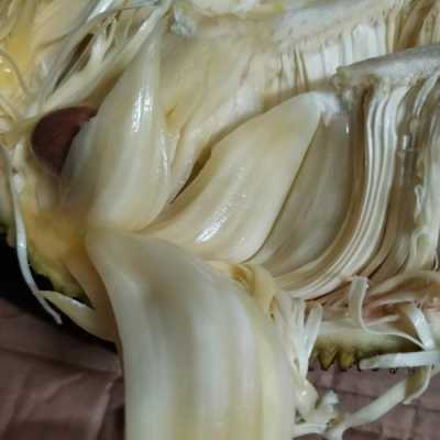 什么果实是纯白色的,白肉菠萝是哪里的特产-第1张图片-厨房小当家 什么果实是纯白色的,白肉菠萝是哪里的特产-第1张图片-厨房小当家