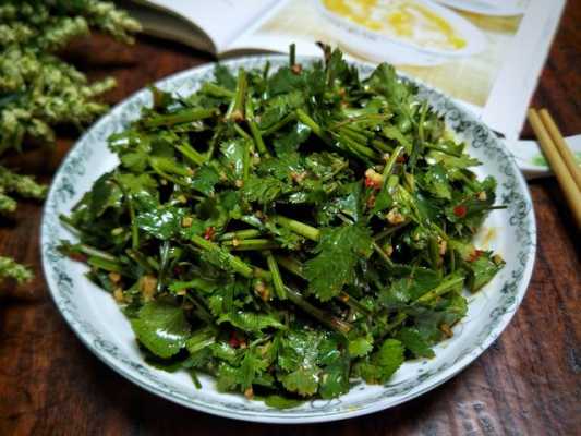 香菜的神仙吃法,香菜有哪里吃法好-第2张图片-厨房小当家 香菜的神仙吃法,香菜有哪里吃法好-第2张图片-厨房小当家