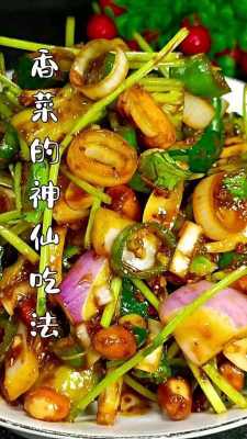 香菜的神仙吃法,香菜有哪里吃法好-第1张图片-厨房小当家 香菜的神仙吃法,香菜有哪里吃法好-第1张图片-厨房小当家