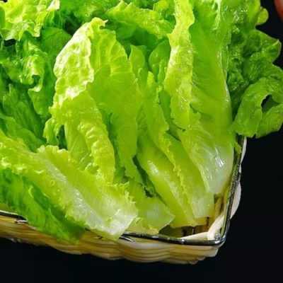混合生菜哪里买(混合生菜哪里买的到)-第3张图片-厨房小当家 混合生菜哪里买(混合生菜哪里买的到)-第3张图片-厨房小当家