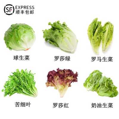 混合生菜哪里买(混合生菜哪里买的到)-第1张图片-厨房小当家 混合生菜哪里买(混合生菜哪里买的到)-第1张图片-厨房小当家