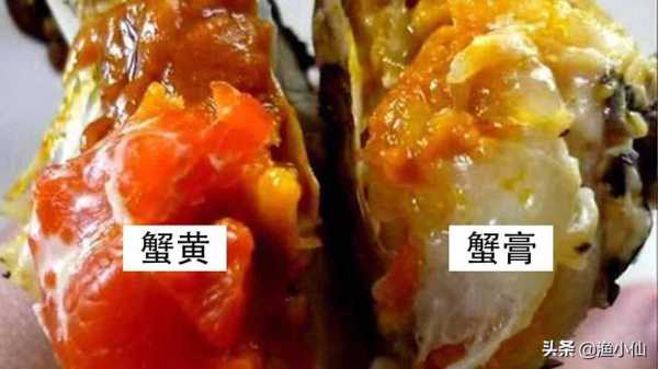 龙虾蟹黄在哪里(大龙虾蟹黄什么样)-第3张图片-厨房小当家 龙虾蟹黄在哪里(大龙虾蟹黄什么样)-第3张图片-厨房小当家