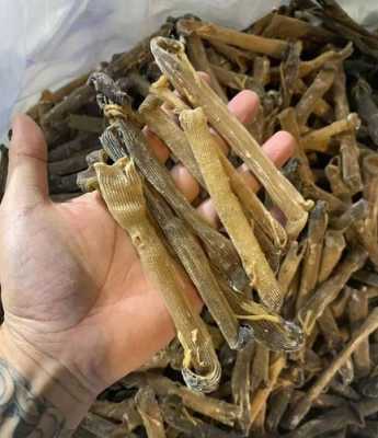 沙虫沙袋在哪里(沙虫怎么晒干)-第1张图片-厨房小当家 沙虫沙袋在哪里(沙虫怎么晒干)-第1张图片-厨房小当家
