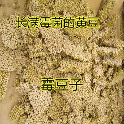 哪里霉豆子好吃(霉好的酱豆什么味道)-第2张图片-厨房小当家 哪里霉豆子好吃(霉好的酱豆什么味道)-第2张图片-厨房小当家