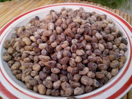 哪里霉豆子好吃(霉好的酱豆什么味道)-第3张图片-厨房小当家 哪里霉豆子好吃(霉好的酱豆什么味道)-第3张图片-厨房小当家