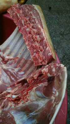 野猪肉哪里最好(野猪最贵的部位)-第1张图片-厨房小当家 野猪肉哪里最好(野猪最贵的部位)-第1张图片-厨房小当家