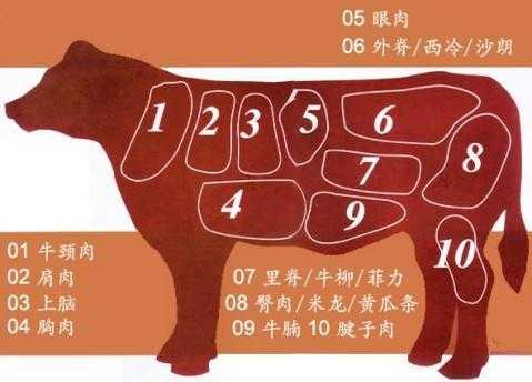 牛哪里有肥肉(牛肉有肥肉么)-第2张图片-厨房小当家 牛哪里有肥肉(牛肉有肥肉么)-第2张图片-厨房小当家