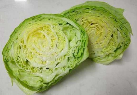 包菜 皮子 哪里买（包菜 皮子 哪里买的到）-第3张图片-厨房小当家