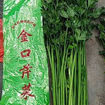 芹菜的哪里好吃(金口芹菜为什么好吃)-第1张图片-厨房小当家 芹菜的哪里好吃(金口芹菜为什么好吃)-第1张图片-厨房小当家