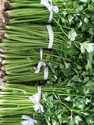 芹菜的哪里好吃(金口芹菜为什么好吃)-第2张图片-厨房小当家 芹菜的哪里好吃(金口芹菜为什么好吃)-第2张图片-厨房小当家