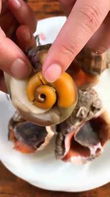 大海螺吃哪里(大海螺吃哪里的肉)-第2张图片-厨房小当家 大海螺吃哪里(大海螺吃哪里的肉)-第2张图片-厨房小当家