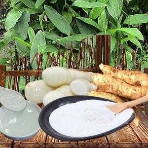 竹芋粉哪里买（竹芋粉怎么蒸好吃）-第2张图片-厨房小当家