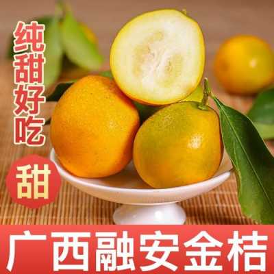 鲜金桔哪里买(新鲜桔子怎么收藏最好)-第1张图片-厨房小当家 鲜金桔哪里买(新鲜桔子怎么收藏最好)-第1张图片-厨房小当家