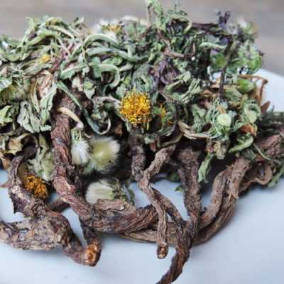 哪里做蒲公英茶(哪里做蒲公英茶最好)-第2张图片-厨房小当家 哪里做蒲公英茶(哪里做蒲公英茶最好)-第2张图片-厨房小当家