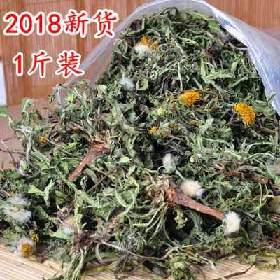 哪里做蒲公英茶(哪里做蒲公英茶最好)-第1张图片-厨房小当家 哪里做蒲公英茶(哪里做蒲公英茶最好)-第1张图片-厨房小当家