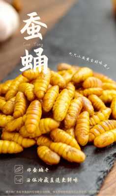 蚕蛹哪里的人爱吃(小蛹为什么超市卖熟的)-第1张图片-厨房小当家 蚕蛹哪里的人爱吃(小蛹为什么超市卖熟的)-第1张图片-厨房小当家