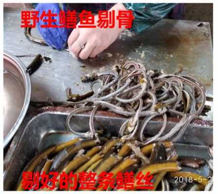 鳝鱼骨的滋味原文及答案,哪里卖鳝鱼骨好-第1张图片-厨房小当家 鳝鱼骨的滋味原文及答案,哪里卖鳝鱼骨好-第1张图片-厨房小当家
