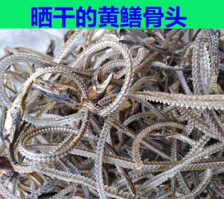鳝鱼骨的滋味原文及答案,哪里卖鳝鱼骨好-第3张图片-厨房小当家 鳝鱼骨的滋味原文及答案,哪里卖鳝鱼骨好-第3张图片-厨房小当家
