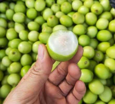 哪里的蜜枣好吃(珍珠蜜枣好吃吗)-第1张图片-厨房小当家 哪里的蜜枣好吃(珍珠蜜枣好吃吗)-第1张图片-厨房小当家